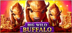 Big Wild Buffalo